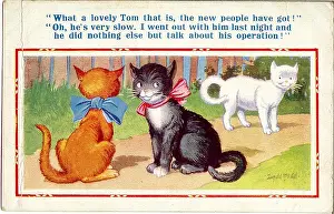 Impotent: Comic postcard, Two she cats and a tom in garden