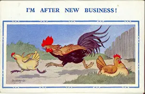 Urge: Comic postcard, Cockerel chasing new hen