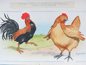 Ruining: Comic postcard, Cockerel and hen