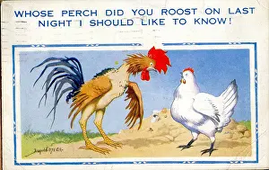 Plucked: Comic postcard, Cockerel and hen