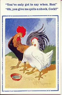 Flirty: Comic postcard, cockerel and hen flirtation