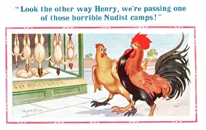 Plucked: Comic postcard, cockerel and hen, poulterer's shop