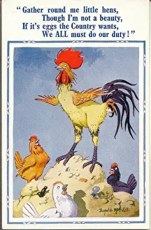 Unattractive: Comic postcard, Cockerel and hens, WW2