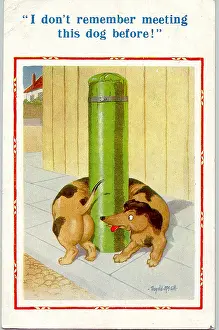 Sniff: Comic postcard, Dachshund wrapped round post