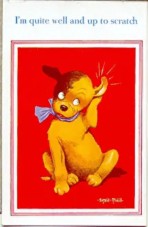 Fleas: Comic postcard, Dog feeling up to scratch