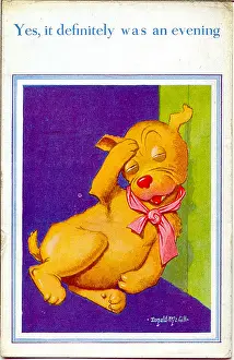 Hangover: Comic postcard, Dog with a hangover