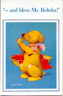 Belisha: Comic postcard, Dog saying his prayers
