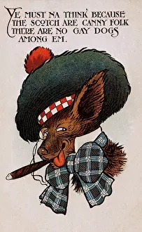 Perky: Comic postcard, dog in Scottish costume