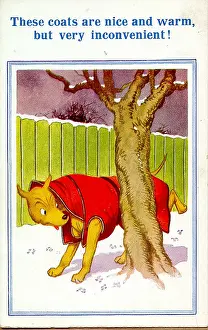 Urinating: Comic postcard, Dog wearing coat in winter