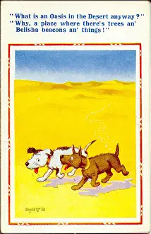 Belisha: Comic postcard, Two dogs in the desert