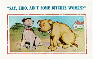 Bitches: Comic postcard, Two dogs discuss bitches