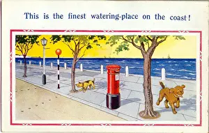 Belisha: Comic postcard, Dogs at the seaside