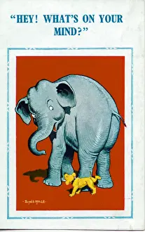Urinating: Comic postcard, Elephant and dog