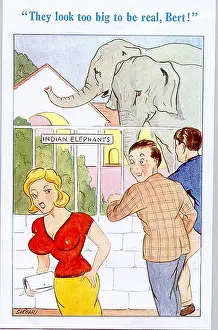 Busty: Comic postcard, Elephants at the zoo