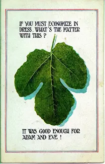 Economise: Comic postcard, Fig leaf, WW1