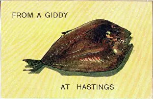 Giddy: Comic postcard, From a giddy fish at Hastings