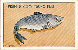 Giddy: Comic postcard, From a giddy young fish