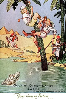 Alligator: Comic postcard, Golf in other lands, Egypt