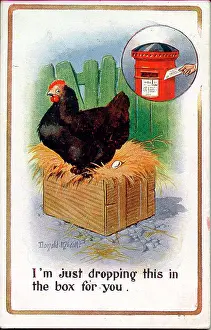 The Donald Mcgill Archive Collection: Comic postcard, hen laying an egg, with pillar box inset