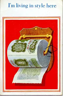 Toilets: Comic postcard, I'm living in style here