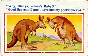 Kangaroos: Comic postcard, Kangaroo couple with missing baby