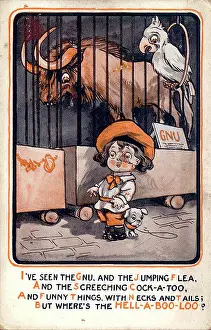 The Donald Mcgill Archive Collection: Comic postcard, Little boy at the zoo