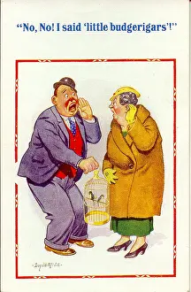 Misunderstanding: Comic postcard, Man and woman with caged birds