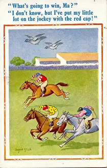 Droppings: Comic postcard, Pigeons flying above racehorses