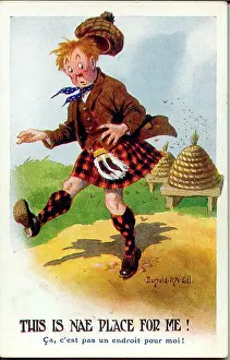 Scotsmen: Comic postcard, Scotsman and beehives