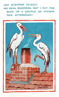 Typists: Comic postcard, two storks on a roof