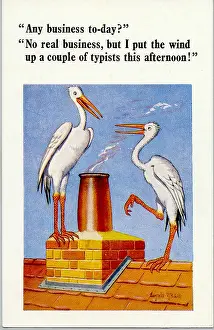 Typists: Comic postcard, two storks on a roof