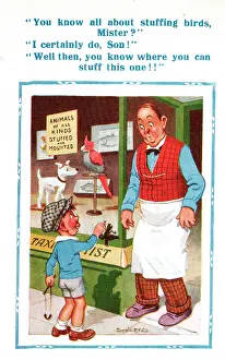 Taxidermy: Comic postcard, stuffing birds - taxidermist