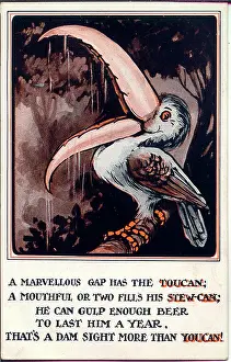 Toucans: Comic postcard, The Toucan