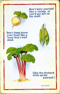 Rhubarb: Comic postcard, Turnip, beans and rhubarb