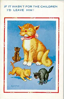 Dissatisfied: Comic postcard, Unhappy mother cat with kittens
