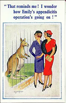 Appendicitis: Comic postcard, Two women at the zoo see kangaroo