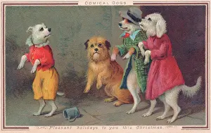 Victorian Christmas: Four comical dogs on a Christmas card