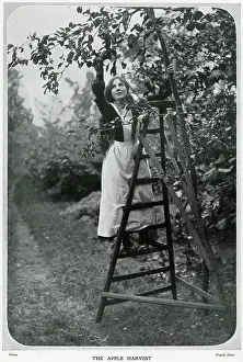 Stepladder: Coming of Autumn 1906
