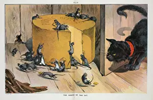 Graft: The coming of the cat