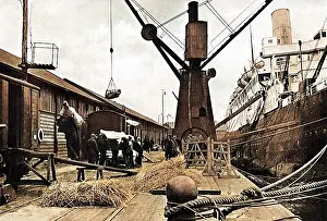 Cargoes: Commandeering meat for the army during World War I