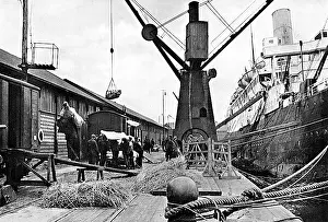 Shortages: Commandeering meat for the army during World War I