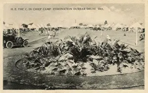 Flowerbed: Commander in Chief's Camp, Coronation Durbar, Delhi, India