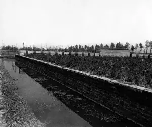Ypres: Commemoration of the battles at Langemarck, 1930s