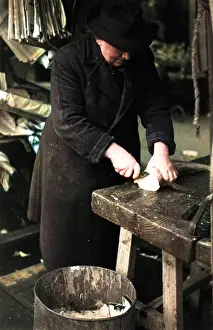 Fishmonger: Commercial Fish Preparation