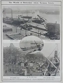 Flotillas: Commercial Shipping Activity, Rotterdam