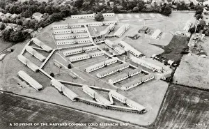Harvard: Common Cold Research Unit, Wiltshire