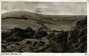 Minehead: The Common, Luccombe, Somerset
