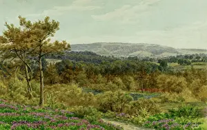 Midhurst: The Common, Midhurst, Sussex