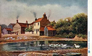 Runton: The Common and pond - East Runton nr. Cromer, North Norfolk