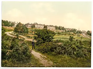 Tunbridge: The common, Tunbridge Wells, England